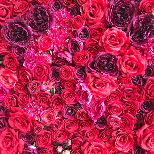 Red Flower Wall