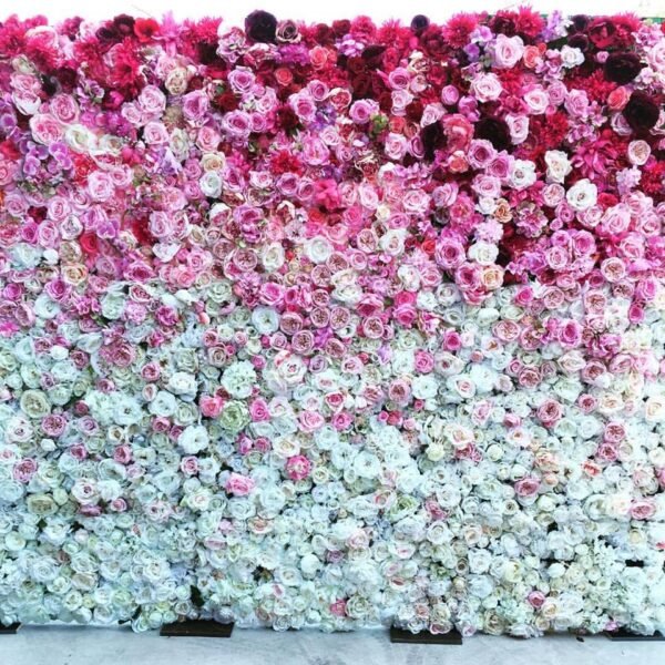 Ombré Wall - Image 3