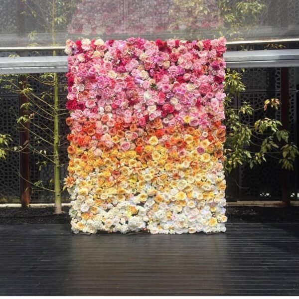 Ombré Wall - Image 4